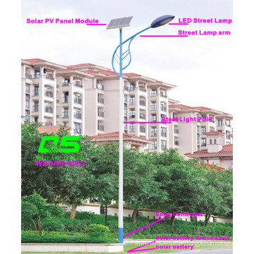 WPSRR-8001 3~15m Municipal Road Hot DIP Galvanized Steet Light Pole style